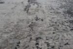RAGOLLE RUGS NV
